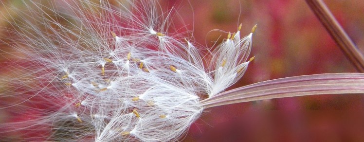 Aufstellungen für den Wandel: Wie alles&nbsp;begann
