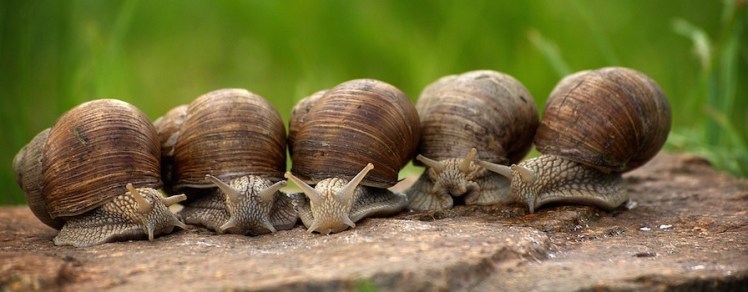 Es ist Zeit für&nbsp;Kooperation